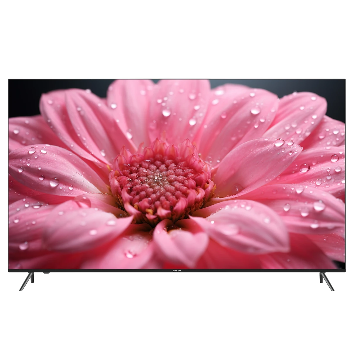 Sharp 4T-C75EK2X Android TV by Sharp - shop at Appliances.ph